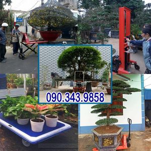 Các Dòng Xe Nâng Cây Cảnh Phổ Biến tongkhoxenangtay.com cung cấp